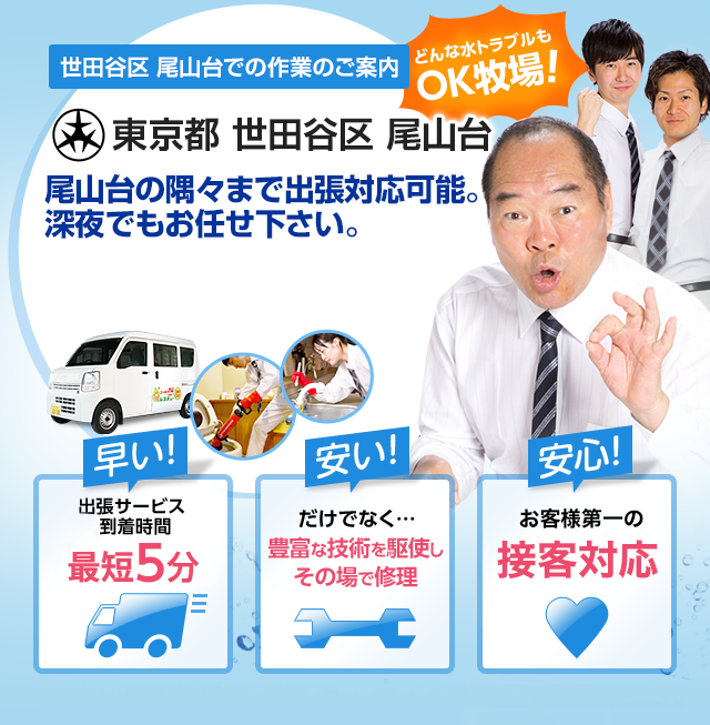 東京都 世田谷区 尾山台でのサービス 水道 トイレ 蛇口の詰まり 水漏れ 修理 水のレスキュー公式