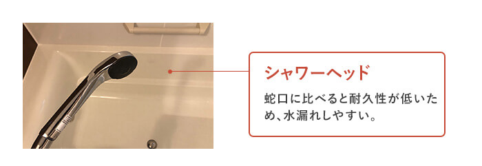 お風呂の漏水調査2 シャワーヘッドからの水漏れ