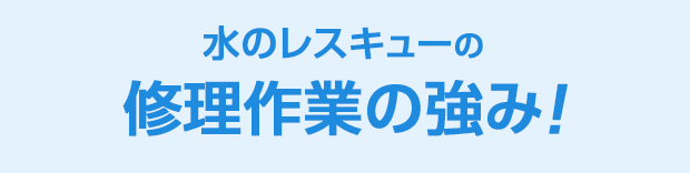 水のレスキュー 修理作業の強み