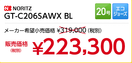 GT-C206SAWX